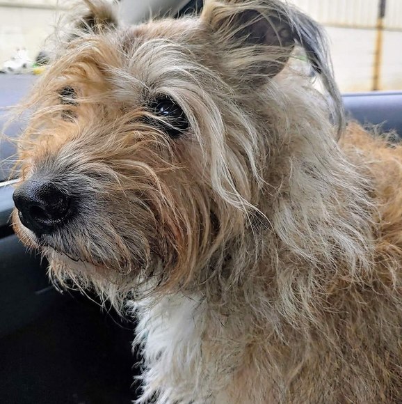 Meet your Posher, Kim - Picture 1 of 1